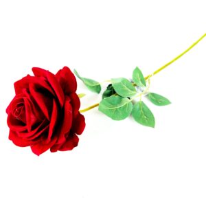 RÓŻA 1'