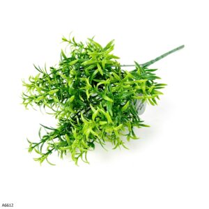 GAŁĄZKA ASPARAGUS