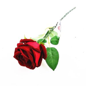 RÓŻA 1'